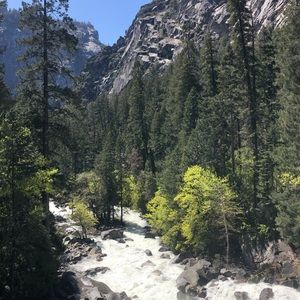 Meet your Posher, Micah